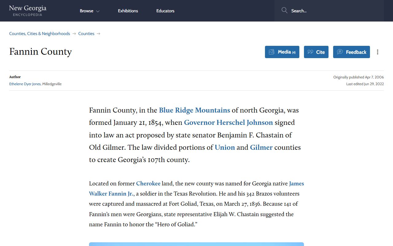 Fannin County court records history source