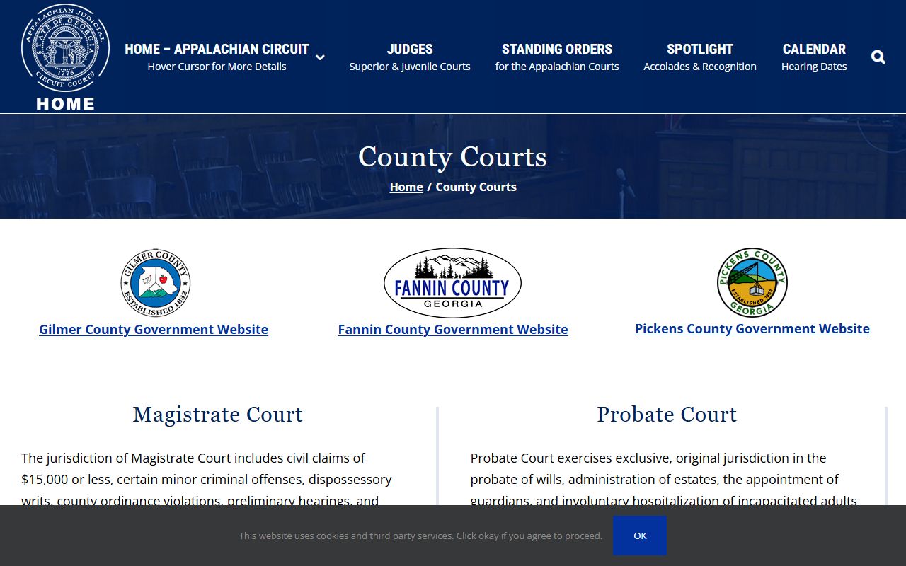 Fannin County warrant records Appalachian Circuit county courts page